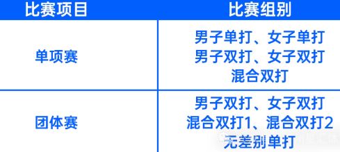 2025年广州匹克球公开赛报名指南（入口＋费用）